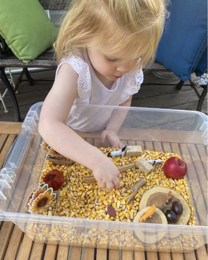 Toddler playing in a corn-kernel sensory bin with farm animals, mini pumpkins, and sunflowers
